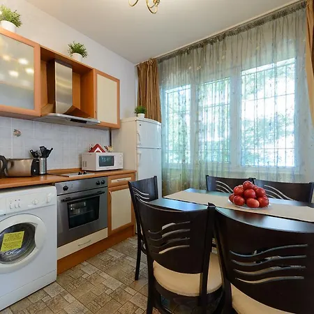 Apartment Vitoshka Vip
