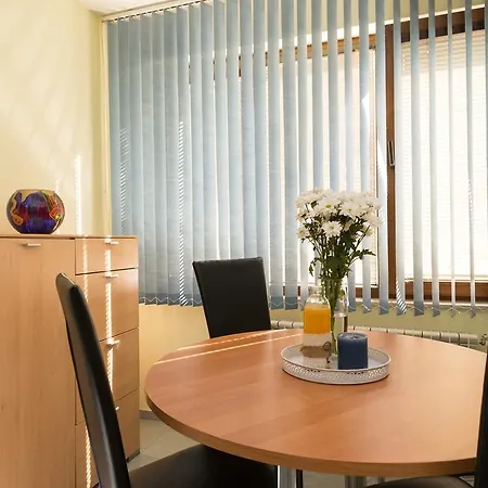 Vitoshka Vip Apartment